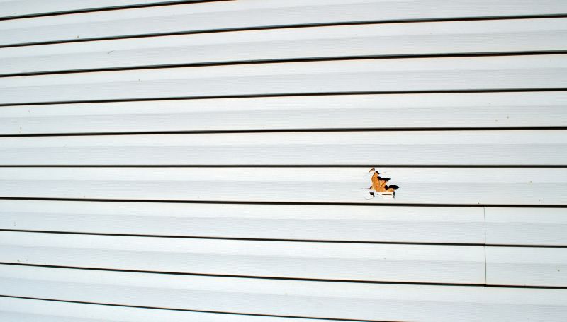 Assessing Vinyl Siding Damage
